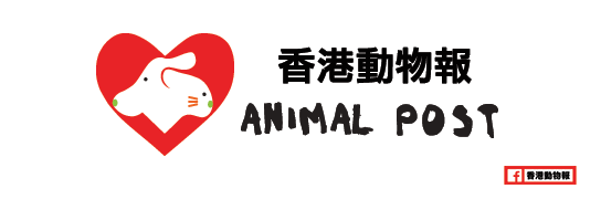 hk animal post